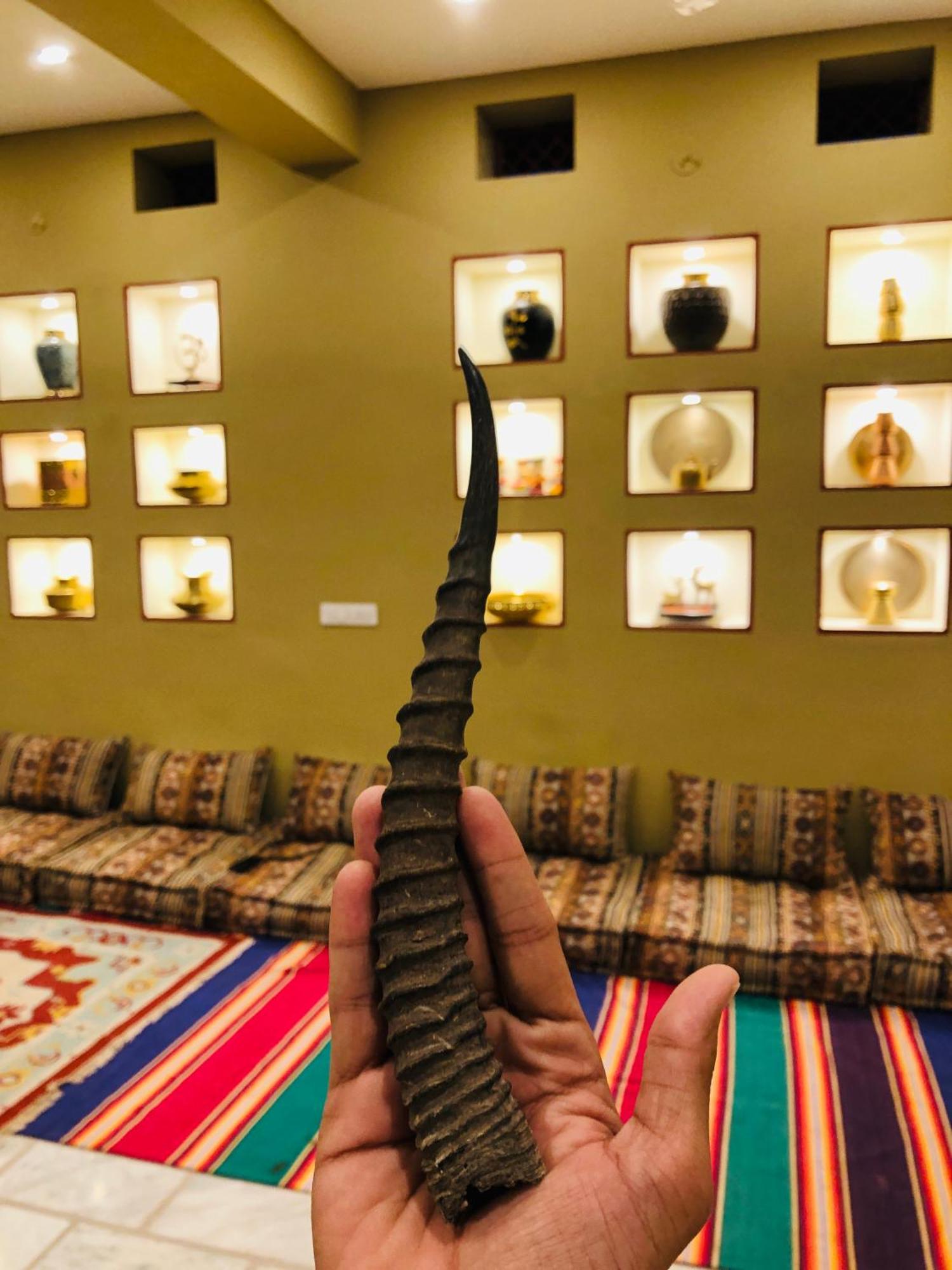 Country house Chinkara Bishnoi Village